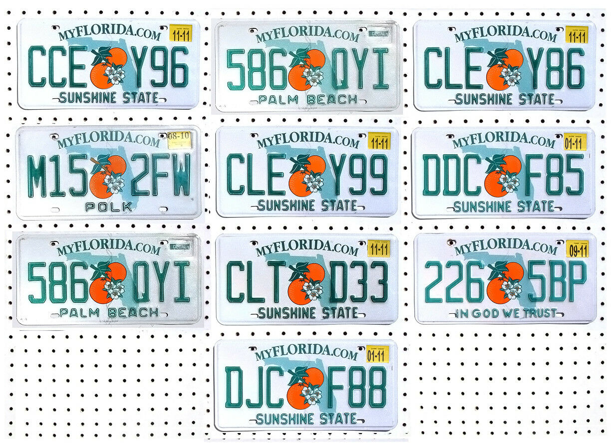 10 Florida License Plates Tag Art Craft Generic Bulk Lot