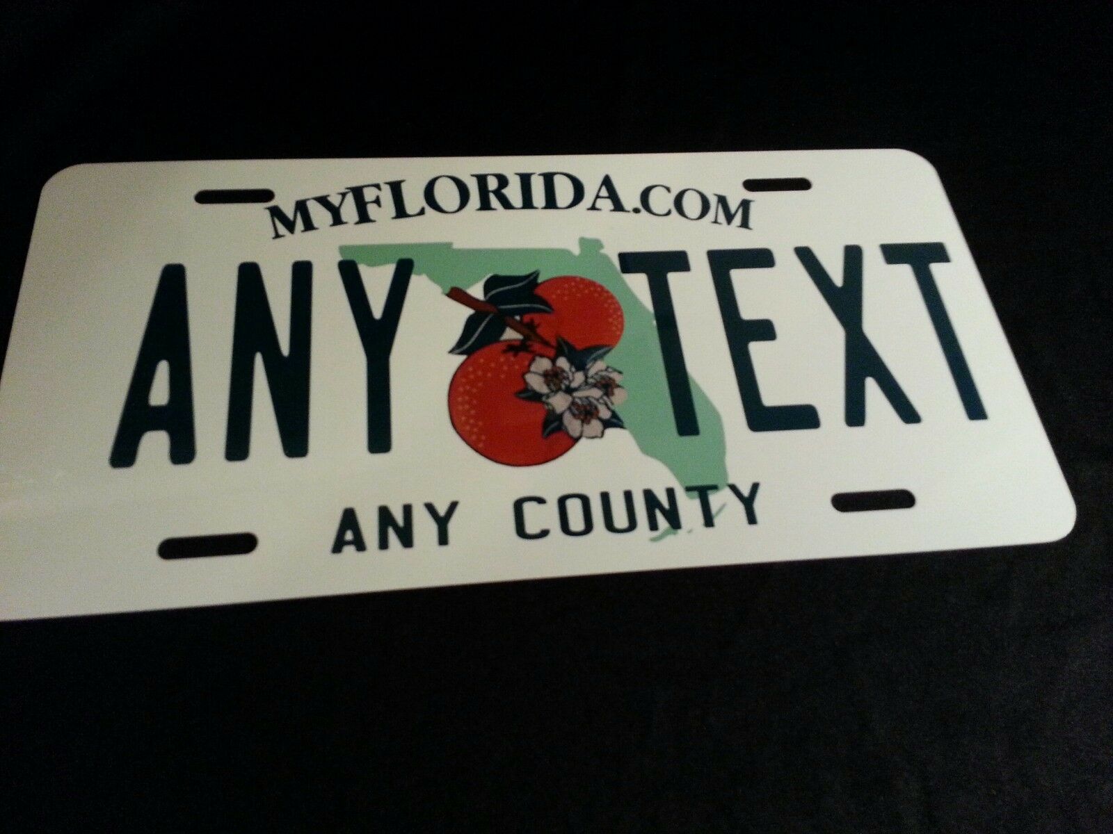 Florida  Custom, Personalized, Novelty, State License Plate, Auto Tag, Fl