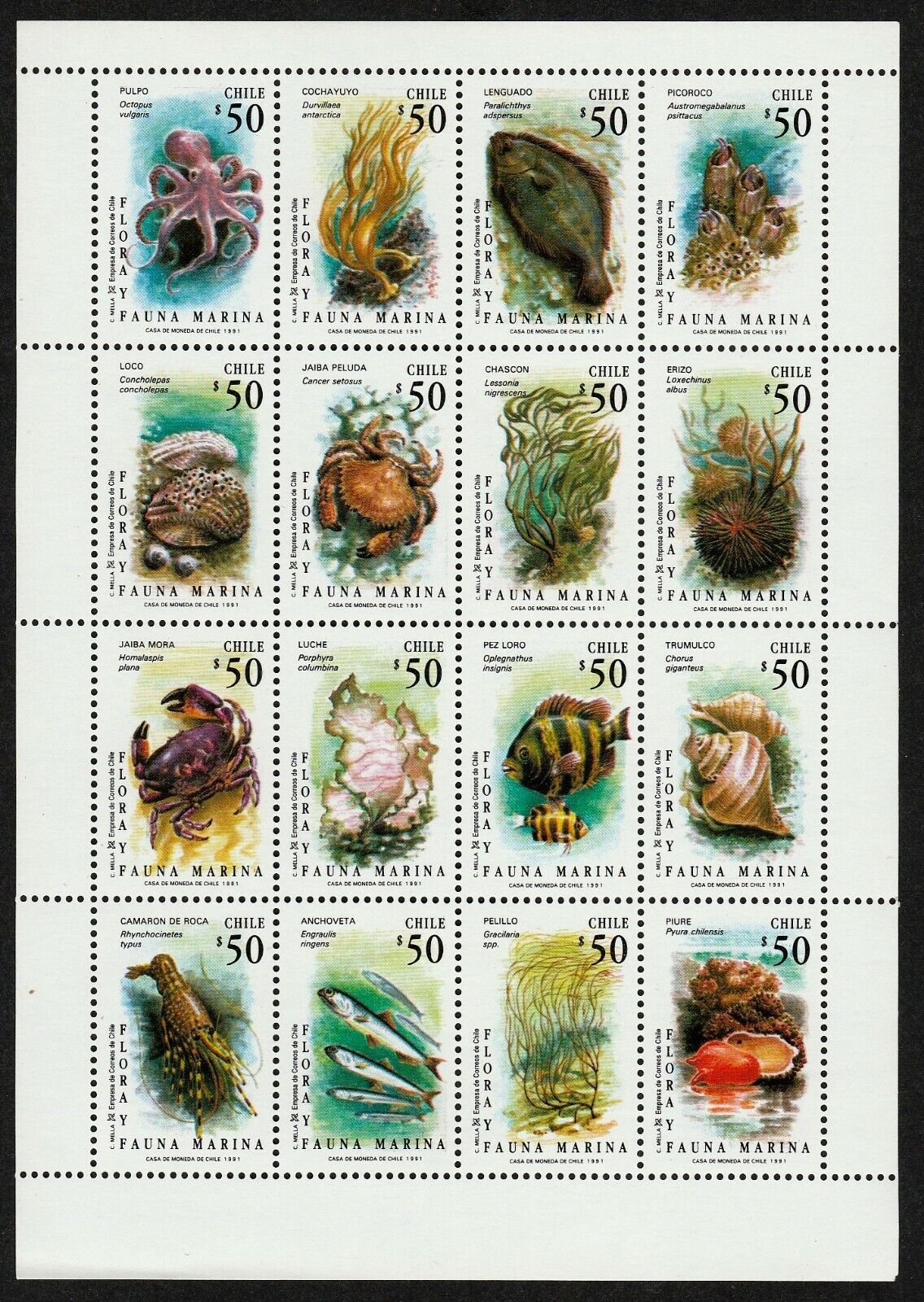 Chile 1991 Michel # 1444 - 1459 Sheetlet 16 Stamps Marine Life Mnh